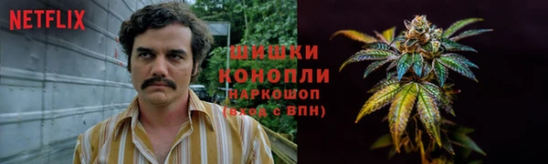 метадон Заводоуковск