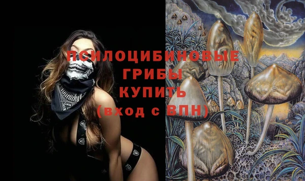 соль ск Зеленодольск