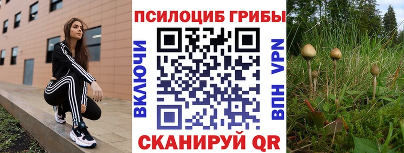 MEGA ONION  Поронайск  Галлюциногенные грибы Cubensis  дарнет шоп 